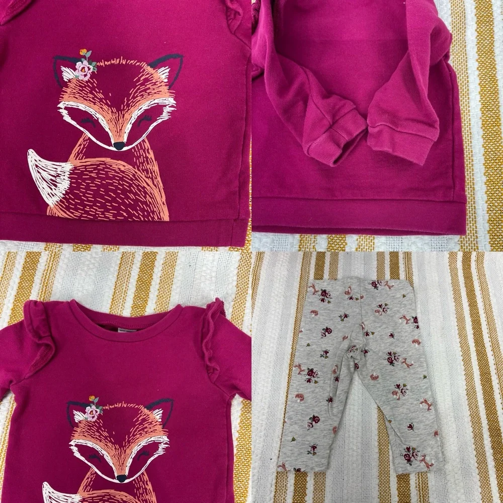 Toddler Girl Carter's 2-Piece Fox Tee & Floral Legging Set 9M‎